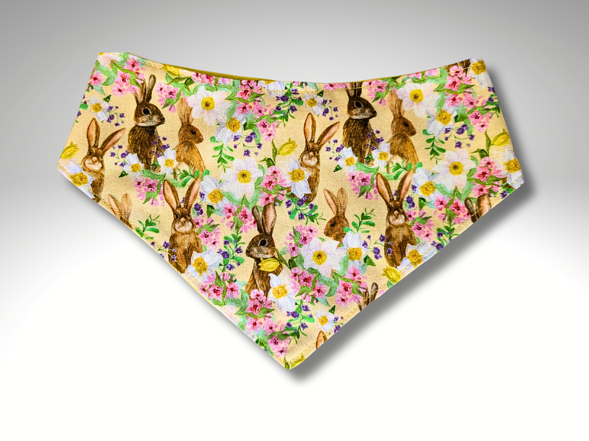 Pet Bandana, dog, cat, Hares Rabbit