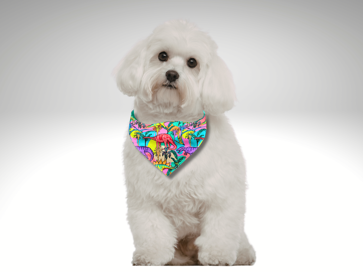 Fun Pet Bandana, dog, cat, Dinosaurs