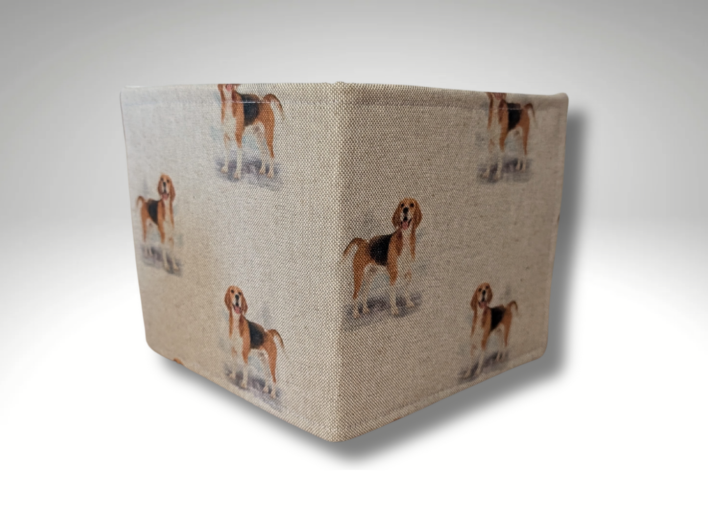 Blue Badge holder, Disabled parking permit holder, Beagle blue badge holder
