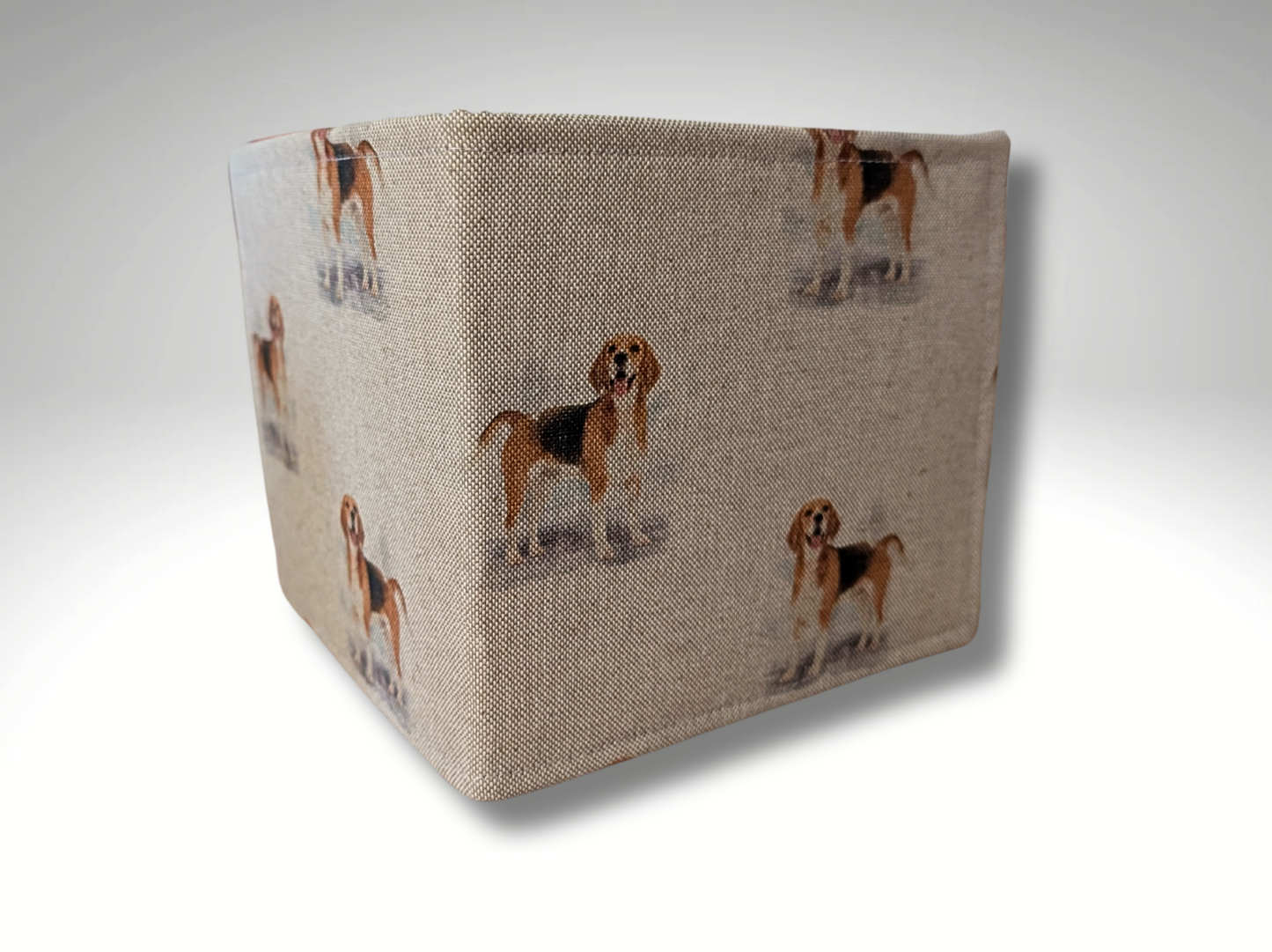 Blue Badge holder, Disabled parking permit holder, Beagle blue badge holder