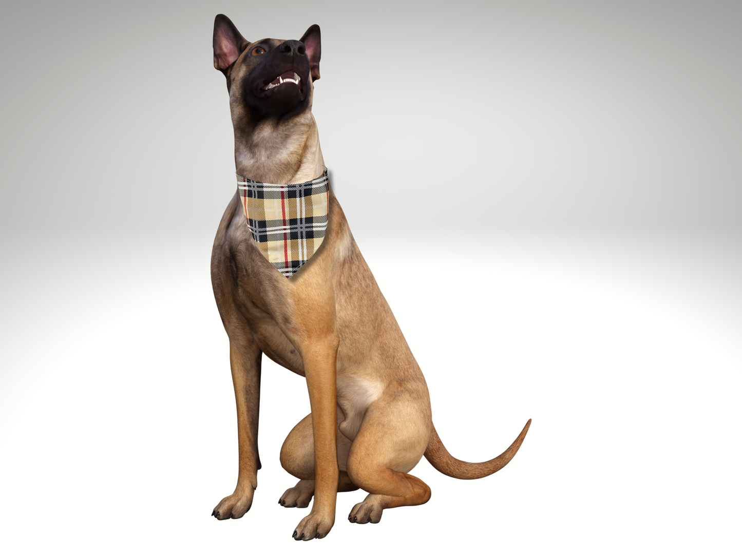 Pet Bandana, dog, cat, Cream Tartan, Pet accessories