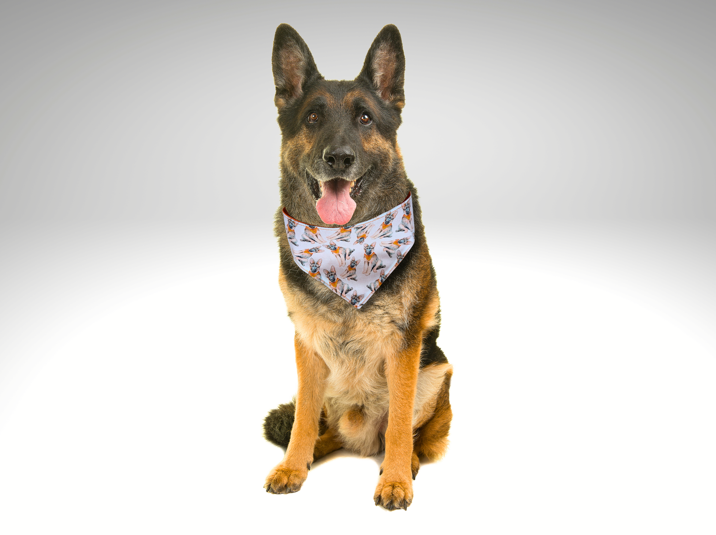German Shepherd Pet Bandana, dog, cat, Alsatian