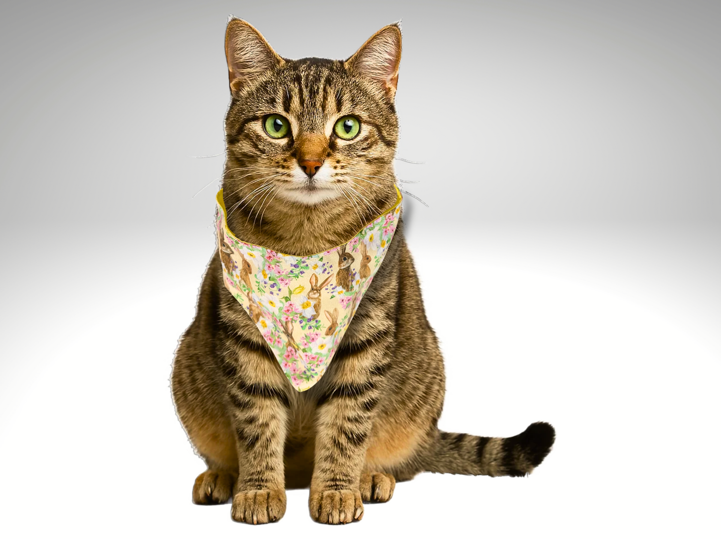Pet Bandana, dog, cat, Hares Rabbit