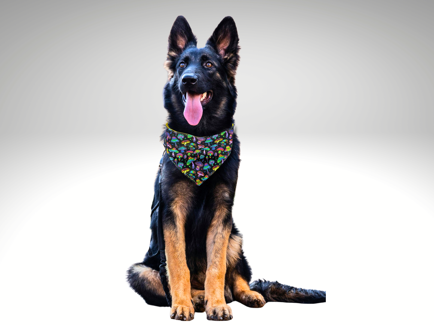Fun Pet Bandana, dog, cat, mushrooms