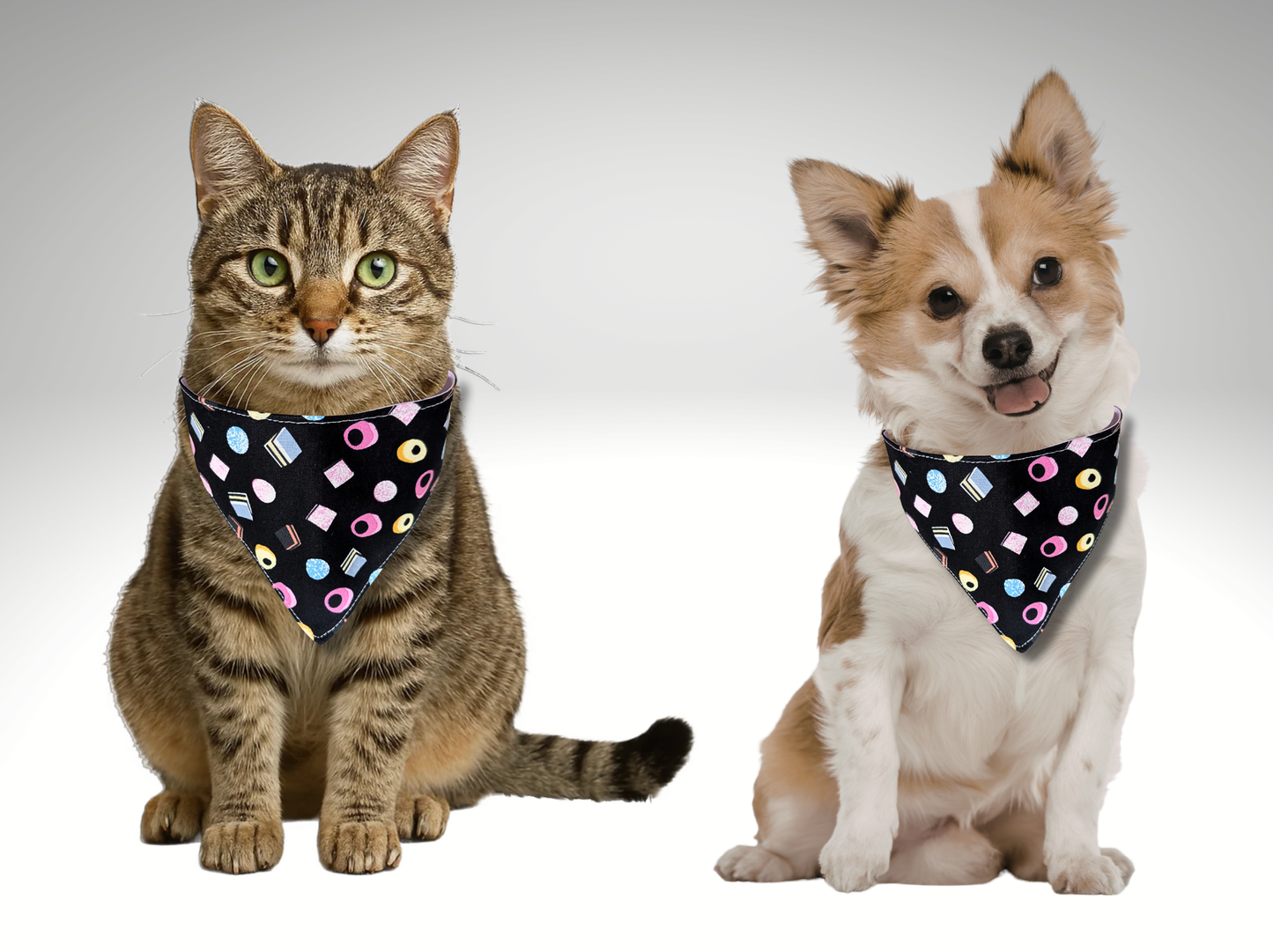 Fun Pet Bandana, dog, cat, Sweets, Liquorice Allsorts