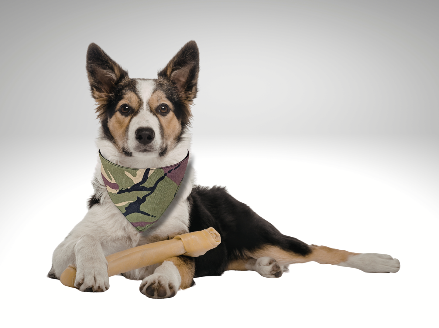 Camo Pet Bandana, dog, cat, Army Camouflage